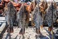 Salt-Crusted Grilled Fish Royalty Free Stock Photo