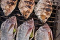 Salt-Crusted Grilled Fish in the local market of Thailand Royalty Free Stock Photo