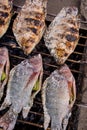 Salt-Crusted Grilled Fish in the local market of Thailand Royalty Free Stock Photo