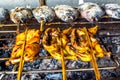 Salt-Crusted Grilled Fish, Thai Grilled Chicken Royalty Free Stock Photo