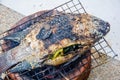 Salt-Crusted Grilled Fish Royalty Free Stock Photo