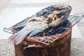 Salt-Crusted Grilled Fish Royalty Free Stock Photo