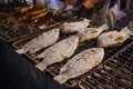 Salt-Crusted Grilled Fish, Thai street food Royalty Free Stock Photo