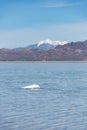 A salt crystal buildup at the Bonneville Salt Flats, Utah