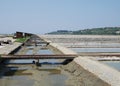 Salt Crystallization Field, Seca, Slovenia Royalty Free Stock Photo