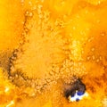 Salt crystals on abstract orange watercolour
