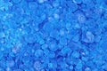 Salt crystals blue background