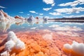 salt crystals sparkling under the midday sun on a lagoon