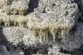 Salt crystals stalactites of the Dead Sea closeup Royalty Free Stock Photo