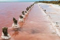 Salt crystals on thick logs in the pink lake Sasyk-Sivash near the resort town of Yevpatoria in Crimea Royalty Free Stock Photo