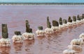 Salt crystals on thick logs in the pink lake Sasyk-Sivash near the resort town of Yevpatoria in Crimea Royalty Free Stock Photo