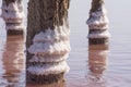 Salt crystals on wooden pillars on a pink lake. Healing salt and mud for cosmetology Royalty Free Stock Photo