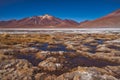Salt deposits on the lowlands, Atacama Desert