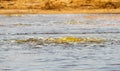 Salt deposits and water in Dallol, Danakil depression, Ethiopia