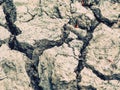 Salt  dry dark brown soil earth land ground. Environmental texture Royalty Free Stock Photo