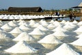 Salt farm trajectory of the Samut Sakhon