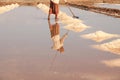 Kampot Salt Field worket harvesting salt Royalty Free Stock Photo