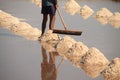 Kampot Salt Field worket harvesting salt Royalty Free Stock Photo