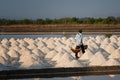 Salt farmers carry salt into the shed Royalty Free Stock Photo