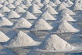 Salt farmers carry salt into the shed