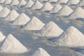 Salt farmers carry salt into the shed