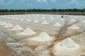 Salt farmers