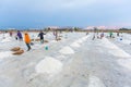 Salt farming career