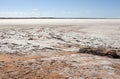 Salt field in desert