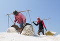 Salt field worker carrying salt with traditional shoulder pole