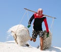 Salt field worker carrying salt with traditional shoulder pole