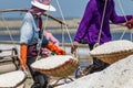 Salt field worker carrying salt with traditional shoulder pole with baskets during salt harvest