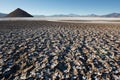 Salt flat of Maricunga, Chile