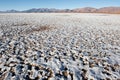 Salt flat of Maricunga, Chile