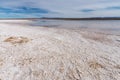 Salt flats, Laguna Cejar, Atacama desert