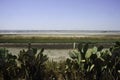 Salt flats at Margherita di Savoia, Apulia, Italy