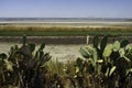 Salt flats at Margherita di Savoia, Apulia, Italy