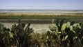 Salt flats at Margherita di Savoia, Apulia, Italy