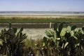 Salt flats at Margherita di Savoia, Apulia, Italy