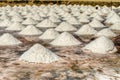 The Salt Flats of Trapani, Sicily