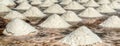 The salt flats of Trapani, Sicily, Italy Royalty Free Stock Photo