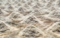 The salt flats of Trapani, Sicily, Italy Royalty Free Stock Photo