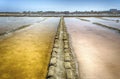 The salt flats of Trapani, Sicily, Italy Royalty Free Stock Photo