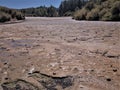 Salt Flats in Wai-O-Tapu thermal landscape