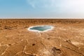 Danakil Depression, Ethiopia, Ale Lake Royalty Free Stock Photo