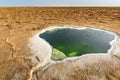 Danakil Depression, Ethiopia, Ale lake Royalty Free Stock Photo