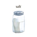 Salt powder in the glass shaker. Watercolor hand drawn illustration isolated on white background Royalty Free Stock Photo