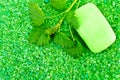 Salt of the green with soap and nettles Royalty Free Stock Photo