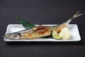 Salt grilled fresh saury with grated radish Royalty Free Stock Photo