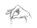 Salt hand drawn sketch vector