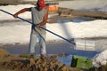 Salt harvesting Royalty Free Stock Photo